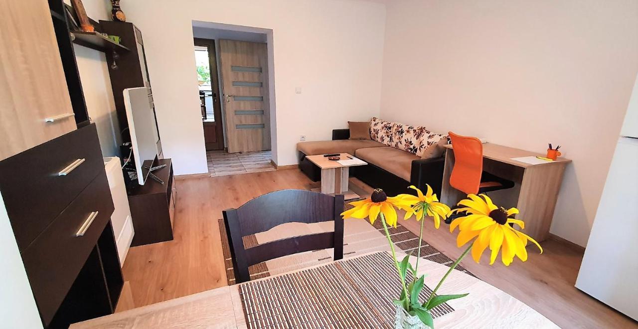 Albisto Dragalevtsi Luxury Apartments 索菲亞 外观 照片