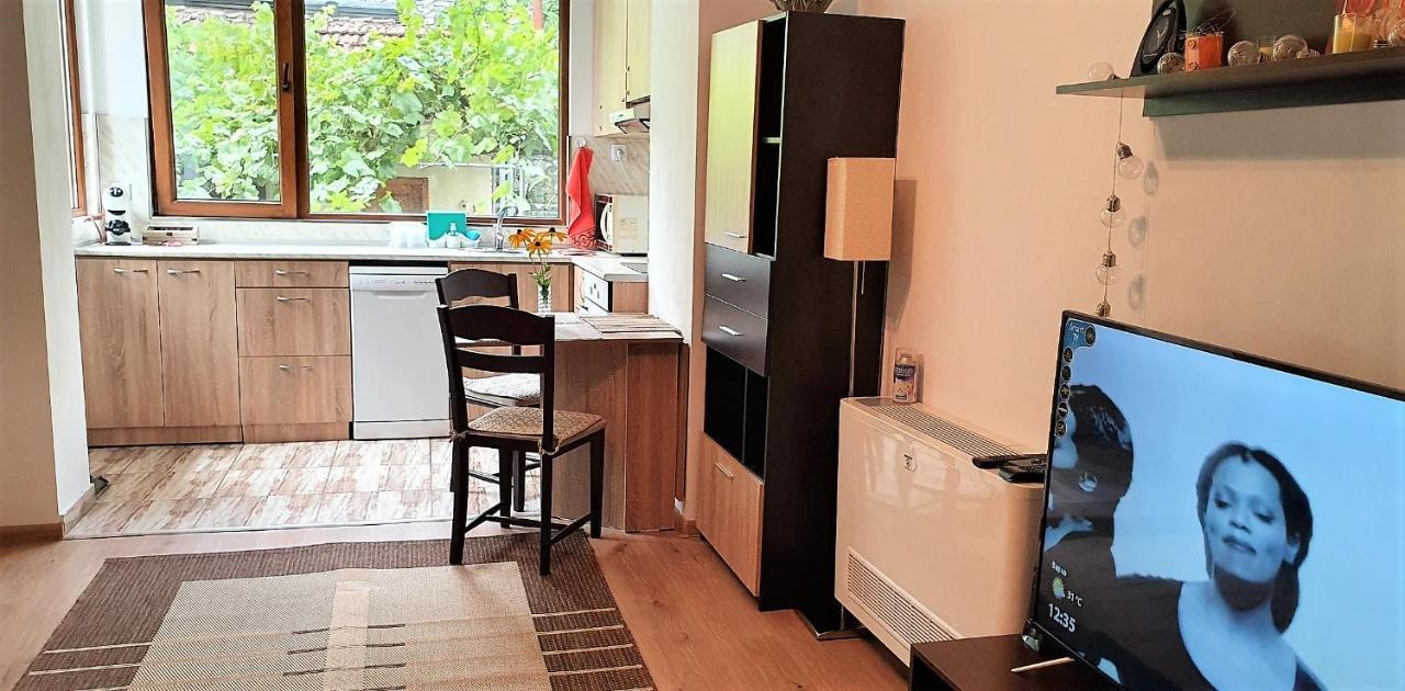 Albisto Dragalevtsi Luxury Apartments 索菲亞 外观 照片
