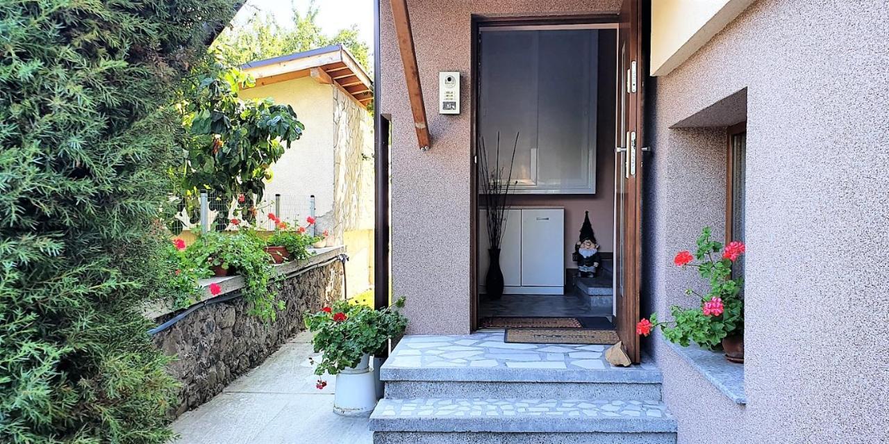 Albisto Dragalevtsi Luxury Apartments 索菲亞 外观 照片